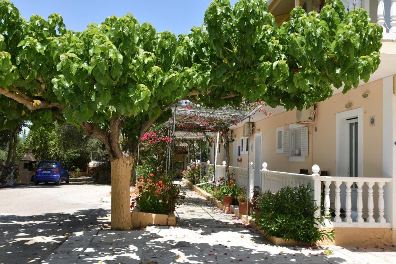 Casa Dyonisia Tsilivi Aparthotel Plános Exterior foto